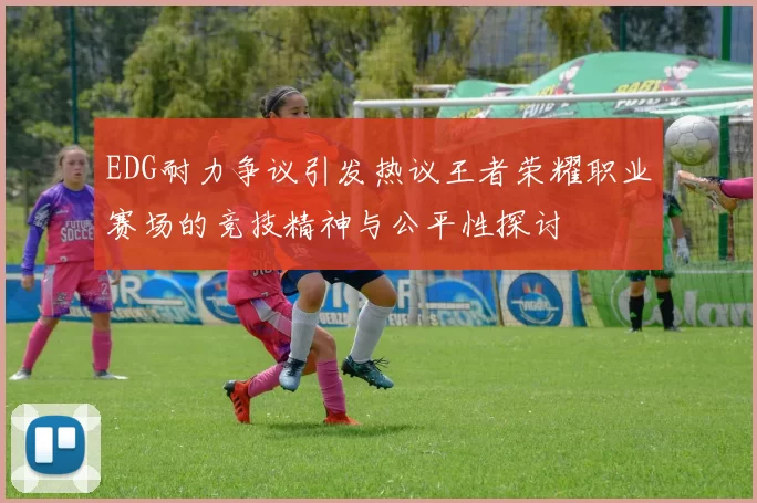 EDG耐力争议引发热议王者荣耀职业赛场的竞技精神与公平性探讨