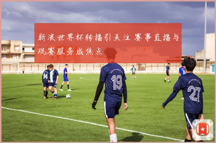 新浪世界杯转播引关注 赛事直播与观赛服务成焦点