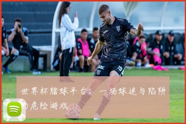 世界杯赌球平台：一场球迷与陷阱的危险游戏