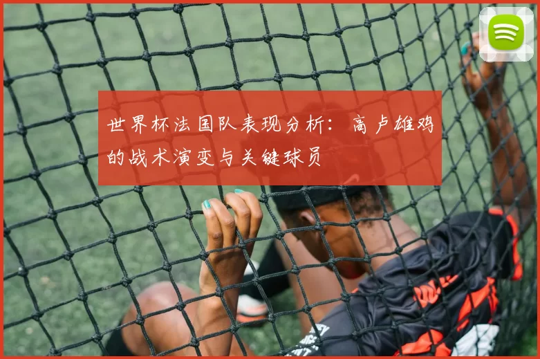 世界杯法国队表现分析：高卢雄鸡的战术演变与关键球员