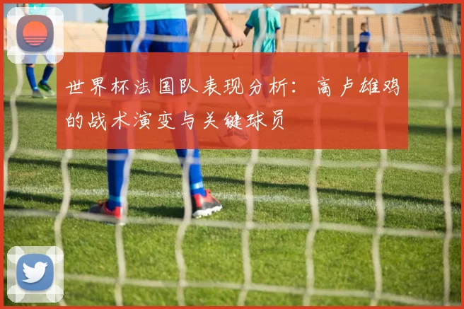 世界杯法国队表现分析:高卢雄鸡的战术演变与关键球员