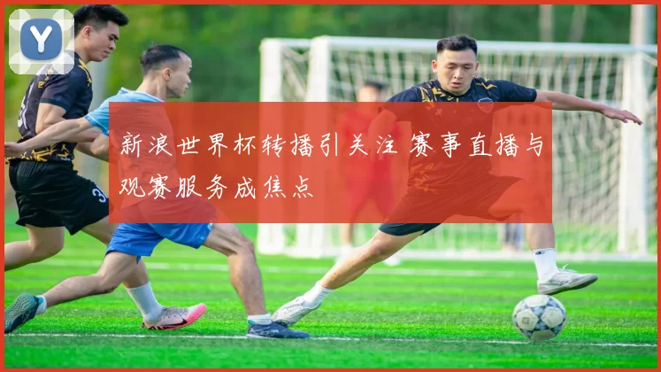 新浪世界杯转播引关注 赛事直播与观赛服务成焦点