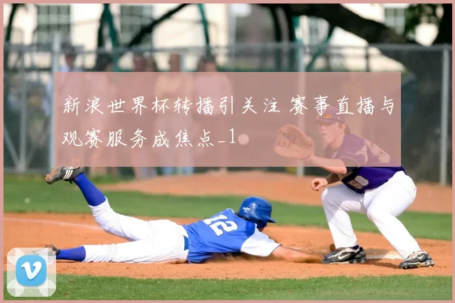 新浪世界杯转播引关注 赛事直播与观赛服务成焦点_1