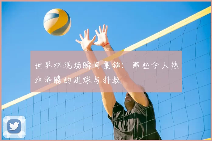 世界杯现场瞬间集锦：那些令人热血沸腾的进球与扑救