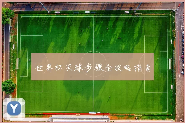 世界杯买球步骤全攻略指南