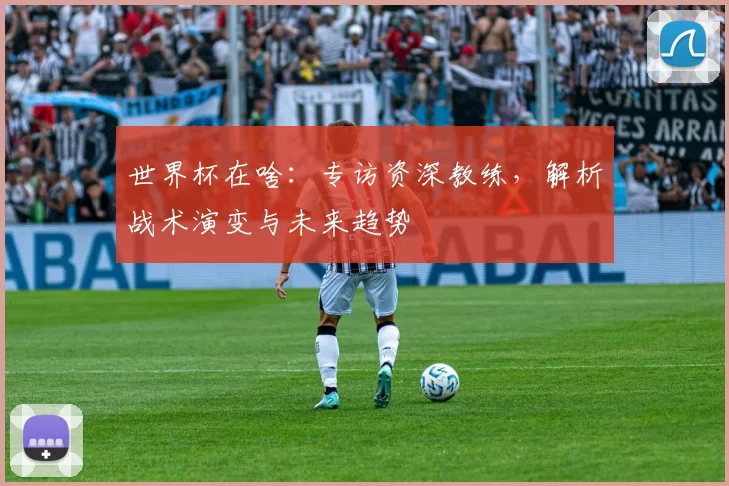 世界杯在啥:专访资深教练,解析战术演变与未来趋势
