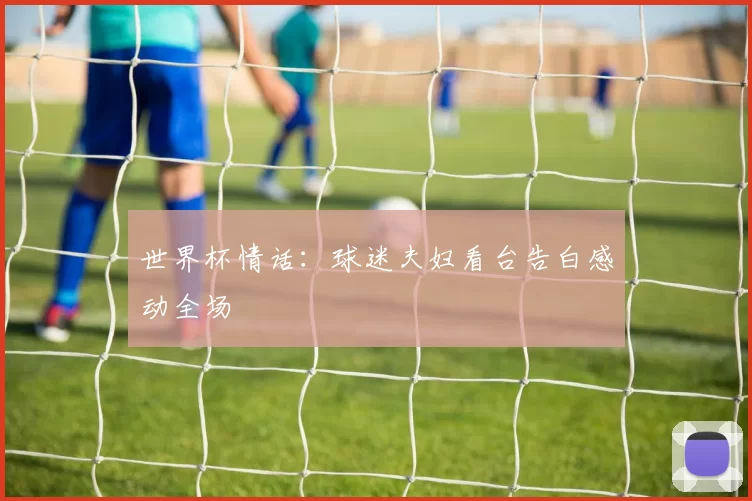 世界杯情话:球迷夫妇看台告白感动全场