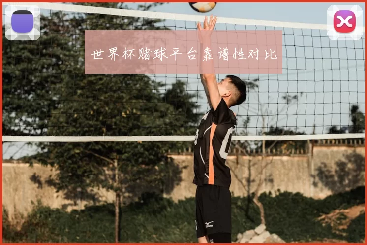 世界杯赌球平台靠谱性对比