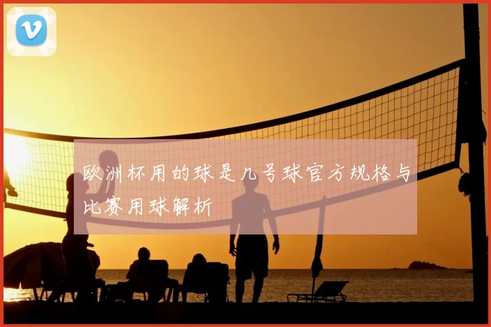 欧洲杯用的球是几号球官方规格与比赛用球解析