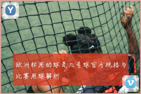 欧洲杯用的球是几号球官方规格与比赛用球解析