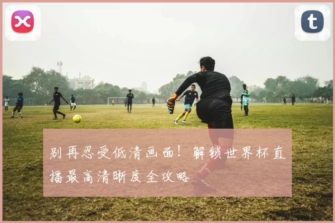 别再忍受低清画面！解锁世界杯直播最高清晰度全攻略