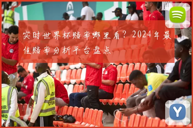 实时世界杯赔率哪里看?2024年最佳赔率分析平台盘点