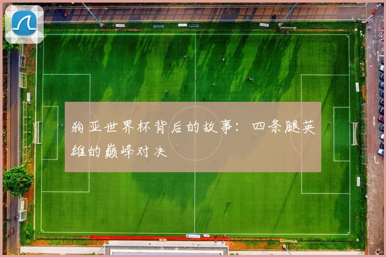 狗亚世界杯背后的故事:四条腿英雄的巅峰对决