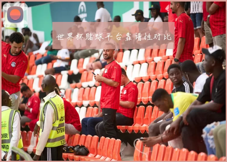 世界杯赌球平台靠谱性对比