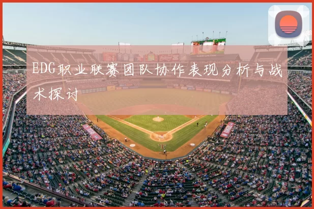 EDG职业联赛团队协作表现分析与战术探讨