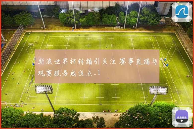 新浪世界杯转播引关注 赛事直播与观赛服务成焦点_1