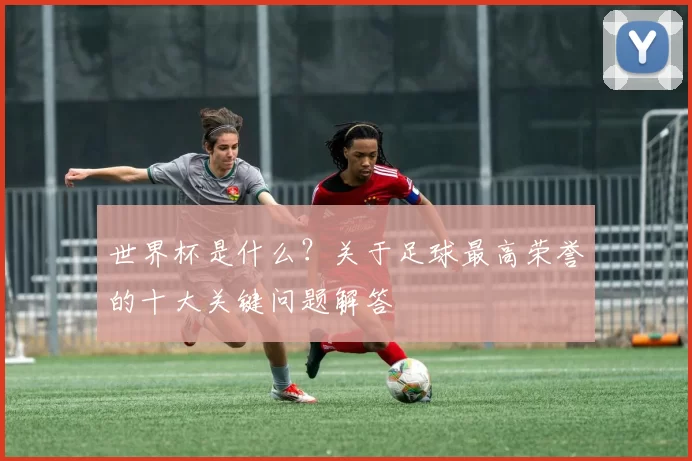 世界杯是什么？关于足球最高荣誉的十大关键问题解答