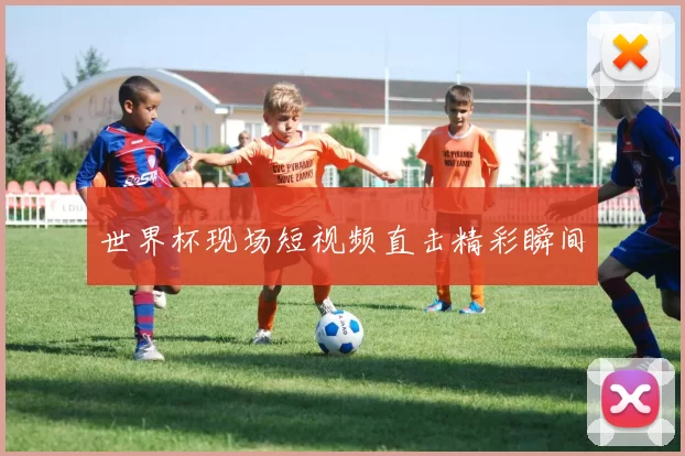 世界杯现场短视频直击精彩瞬间